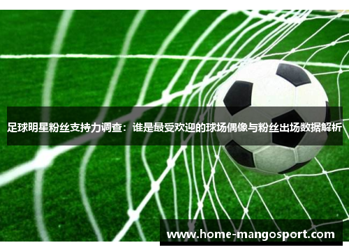 足球明星粉丝支持力调查：谁是最受欢迎的球场偶像与粉丝出场数据解析