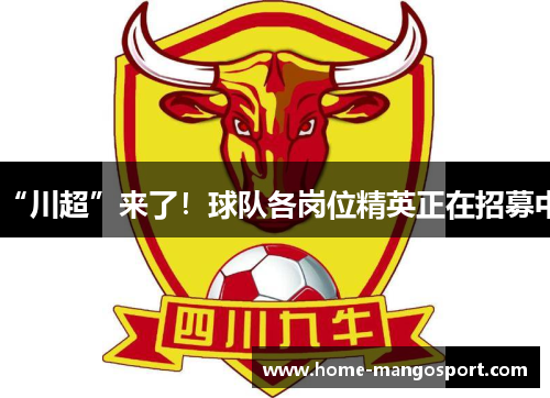 “川超”来了！球队各岗位精英正在招募中